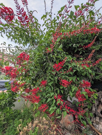Portales jardins, Paysagiste à Castelnau-le-Lez