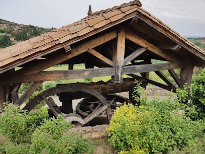 Imagi'Vert, Paysagiste à Dommartin