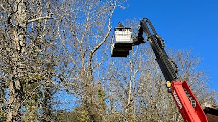 PLASSON PAYSAGE ET SERVICE, Paysagiste à Saint-Cergues