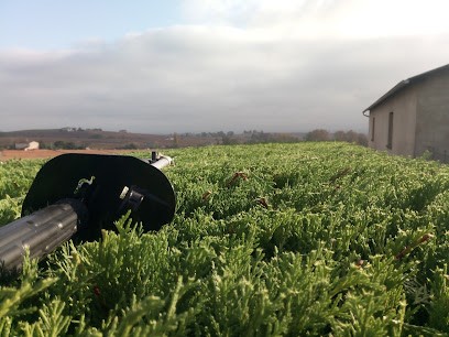 L'Hêtre du jardin, Paysagiste à Leynes