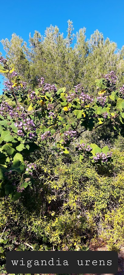Mouvements et Paysages, Paysagiste au Lavandou