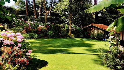 Petrucci Paysage, Paysagiste à Seignosse