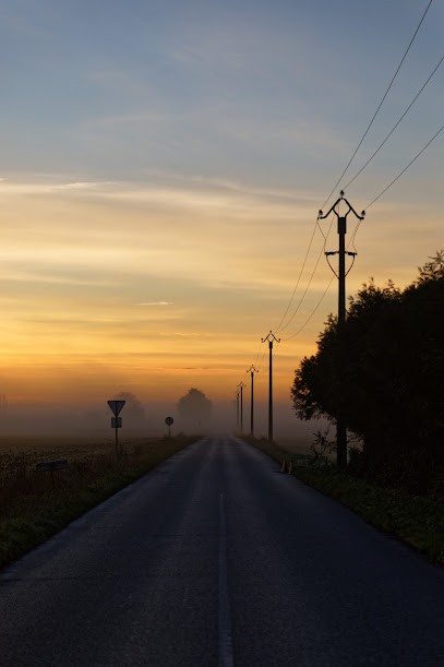 Botanique Editions, Paysagiste à Feucherolles