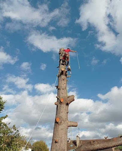 Hera Paysage, Paysagiste à Gagny