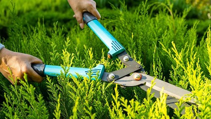 Couleurs Jardins-Paysagiste, Paysagiste à Saint-Gratien