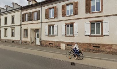 Paysagiste Arboré Sens, Paysagiste à Colmar