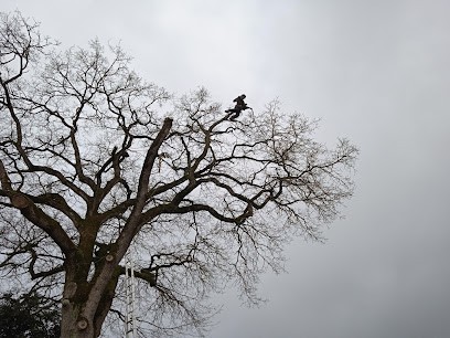 Kersabiec De Guy, Paysagiste à Saint-Brieuc-de-Mauron