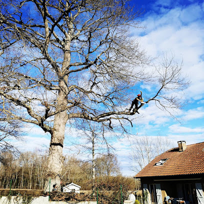 Entreprise Ferron Parcs Et Jardins, Paysagiste à Lamarque-Pontacq