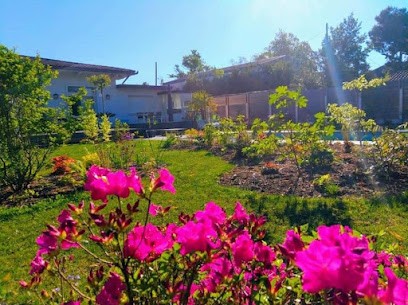 Rondet Paysages, Paysagiste à Queyrac