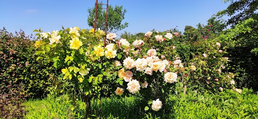 Le Jardin du Lièvre, Paysagiste à Sercus