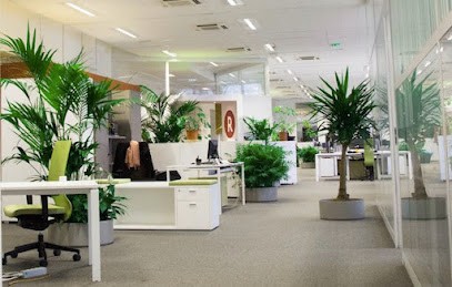 Plantez Respirez, Paysagiste à Paris 05