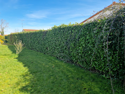 Klein Élagage, Paysagiste à Cholet