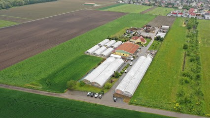 Paysages Adrien Ettwiller et Fils, Paysagiste à Sainte-Croix-en-Plaine