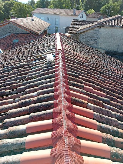 C.L Services Entretiens, Paysagiste à L'Isle-en-Dodon