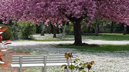 SCEV Saint Cyr Espaces Verts, Paysagiste à Signy-Signets