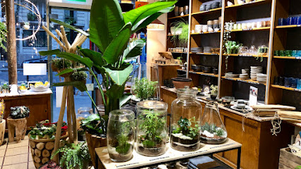 B.green - Artisan Terrarium Paysagiste à Paris 11