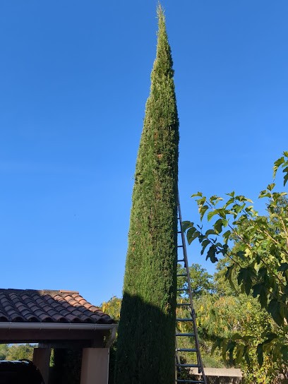 RB Paysages, Paysagiste à Robion