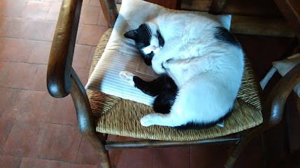 Corbeau Jean Baptiste, Paysagiste à Louches