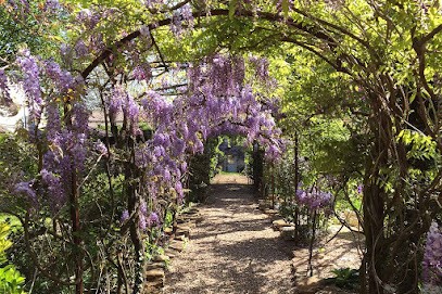 NG Espaces Verts, Paysagiste à Montmerle-sur-Saône
