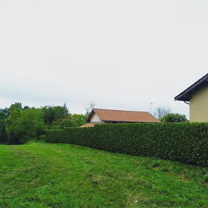 Morel Corentin Espace Vert, Paysagiste à Replonges