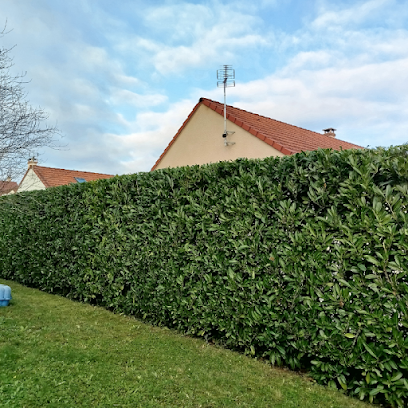 Dpaysages Paysagiste à Talmay