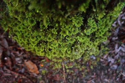 Terrae, Paysagiste à Courthézon