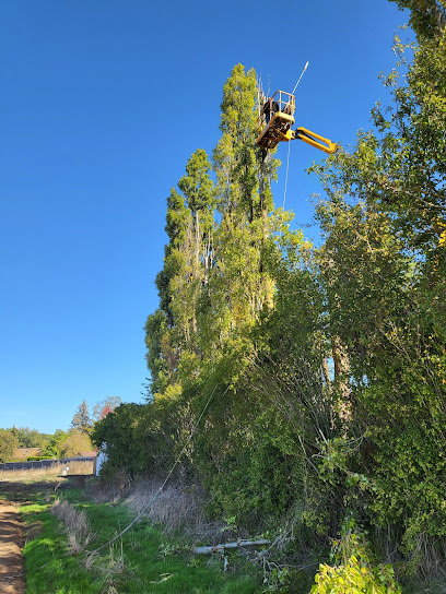 Dr Élagage Paysagiste à Saint-Rémy-sur-Avre