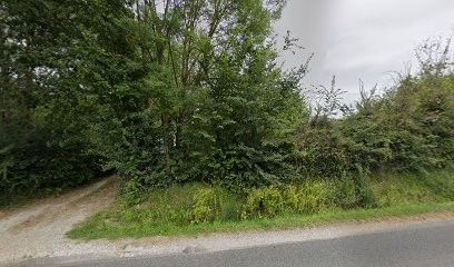DENIS COULON ENTREPRISE TRAVAUX, Paysagiste à Moulon