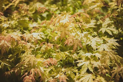 Idée jardin - Paysagiste et entretien d'espaces verts, Paysagiste au Bignon-Mirabeau