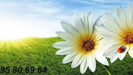 Flor'Paysage, Paysagiste à Queyssac