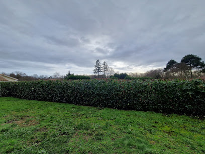 Delta Paysages, Paysagiste à Biganos