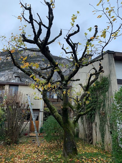 Yo 38 services, Paysagiste à Voiron