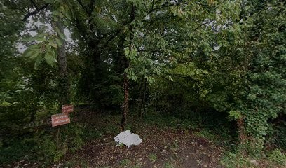 Service Jean Mayer élagage, Paysagiste à Igny