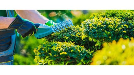 GINKO PARTICULIERS, Paysagiste à Mézos