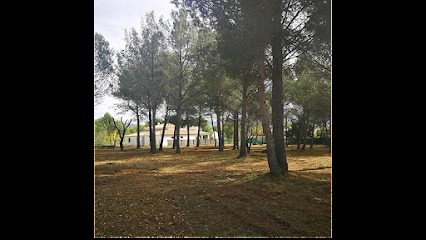 VERGNOT ELAGAGE, Paysagiste à Gémenos