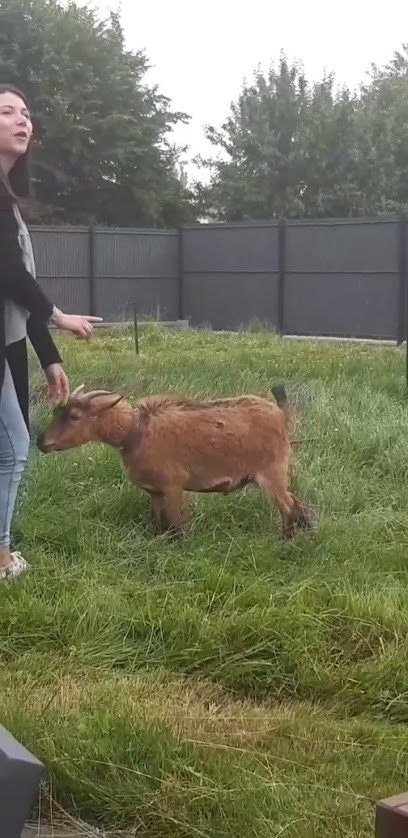 Bellouin Paysagiste, Paysagiste à Baisieux