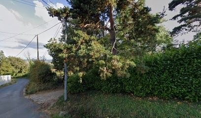 Sarl Thollet, Paysagiste à Messimy