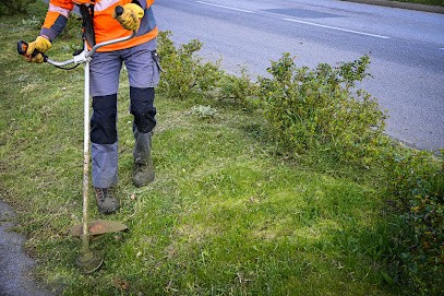Entreprise adaptée Pro Act, Paysagiste à Plougoumelen