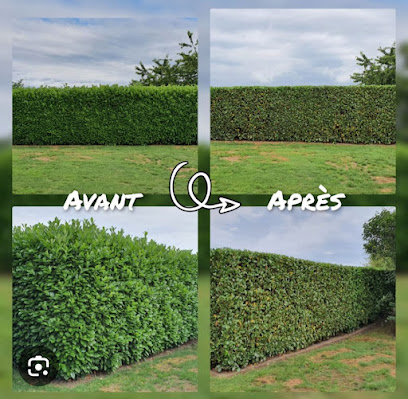 Billotet Espace Vert, Paysagiste à Perrigny-lès-Dijon