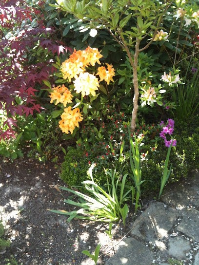 Entreprise Dumortier Christian, Paysagiste à Marcoussis