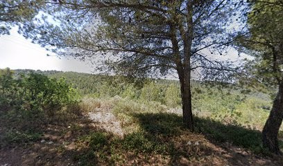 Sunpaysage.fr, Paysagiste à Meyreuil