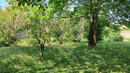 Corylus Paysage Paysagiste à Férel