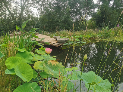 Aïga Terra, L'atelier Des Vasques Vives Paysagiste à Boffres