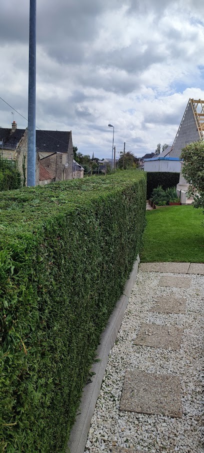Les jardins de julien, Paysagiste à Tamerville