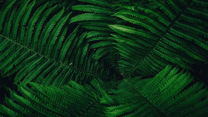 Beuch'Art Conception, Paysagiste à Segré-en-Anjou Bleu