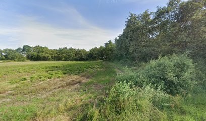 Décor Paysage Pupier, Paysagiste à Chaponost