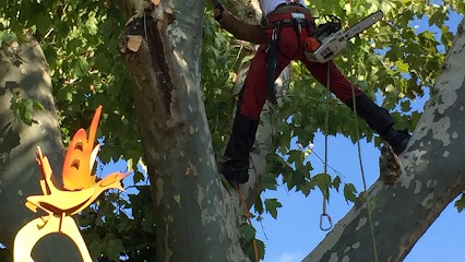 Fernand Paysagiste, Paysagiste à Gagny