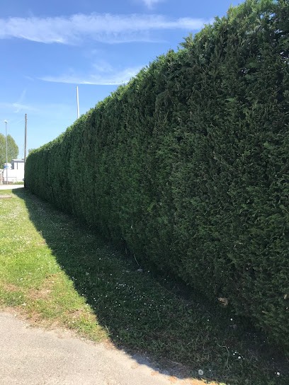 AMG Espaces verts, Paysagiste à Courtes