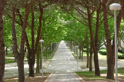 ÒRTA Paysage - Bruno DUHAZÉ, Paysagiste à Saint-Bauzille-de-Putois