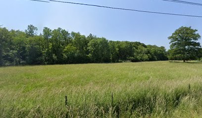 SAS LKX Paysages, Paysagiste aux Corvées-les-Yys